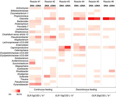 Ecology of food waste chain-elongating microbiome